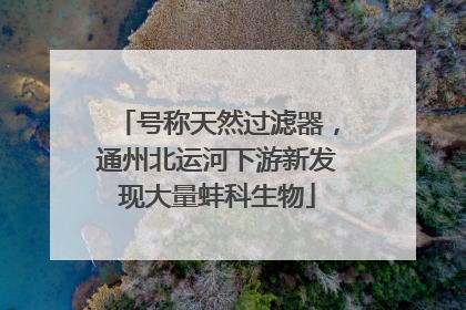 号称天然过滤器，通州北运河下游新发现大量蚌科生物